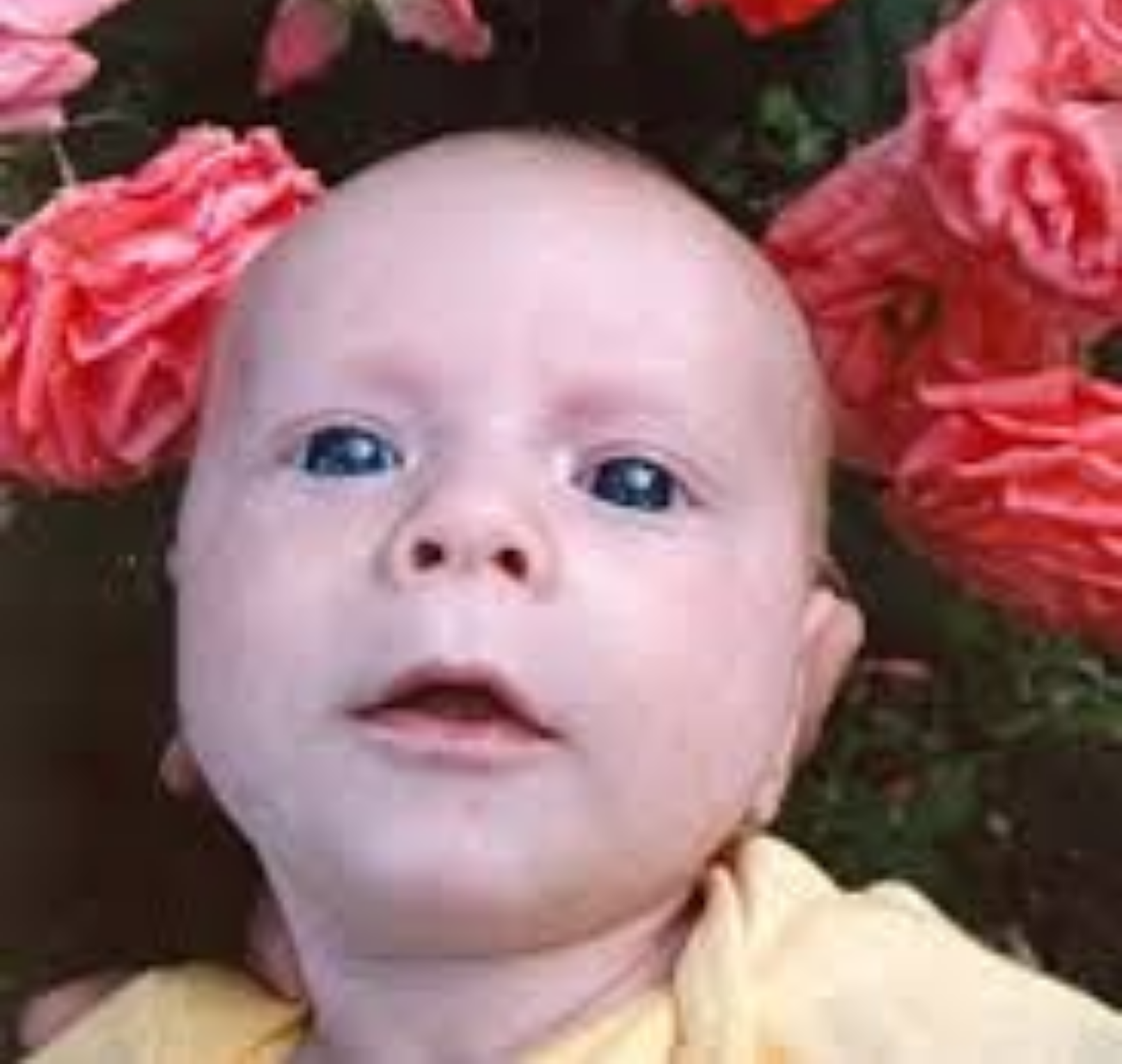 ZACHARIAH VAUGHN YANCEY